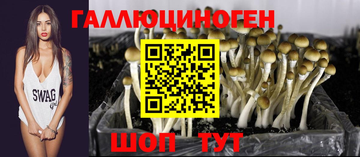 Псилоцибиновые грибы Cubensis  Вход с VPN  Южно-Сахалинск 